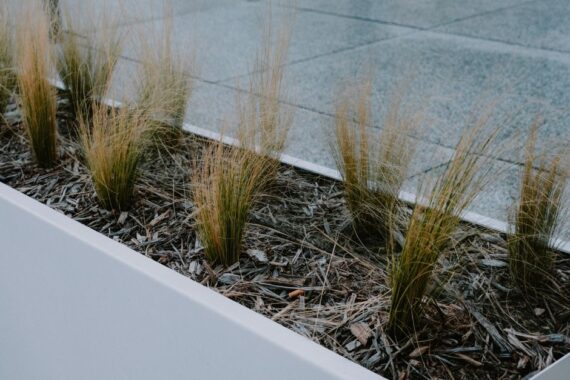 Stijlvolle SEV stalen plantenbakken in een moderne tuinsetting, met groene planten en een strak design.